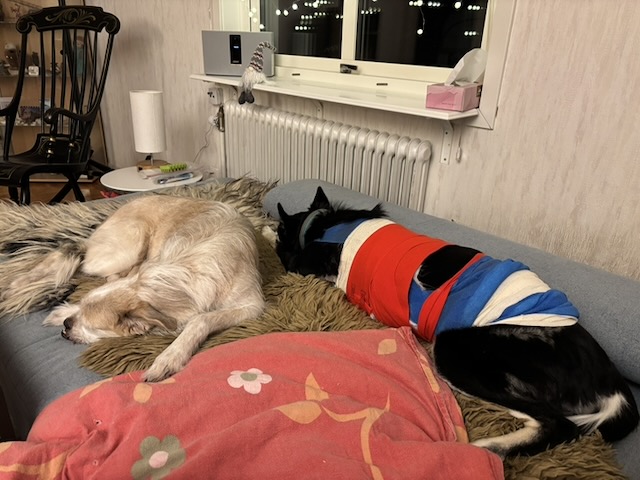 Ayla mir Verband, daneben liegt Lina