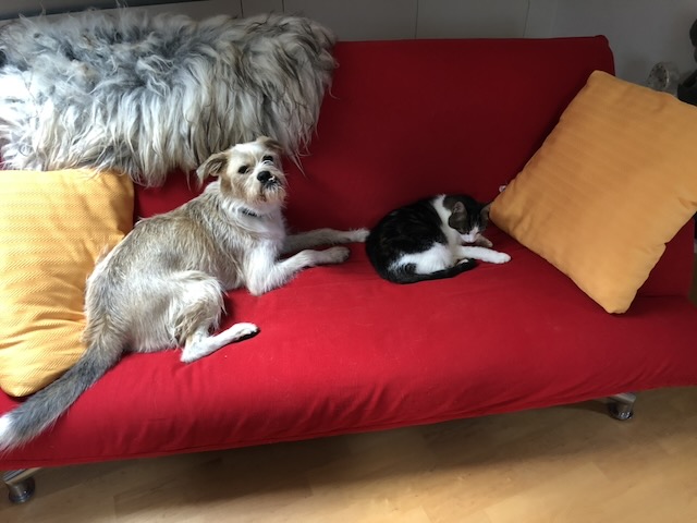 Missie Moves In | missie