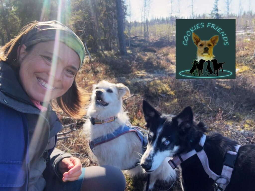 Home 13 Cookies Friends Podcast Titelbild