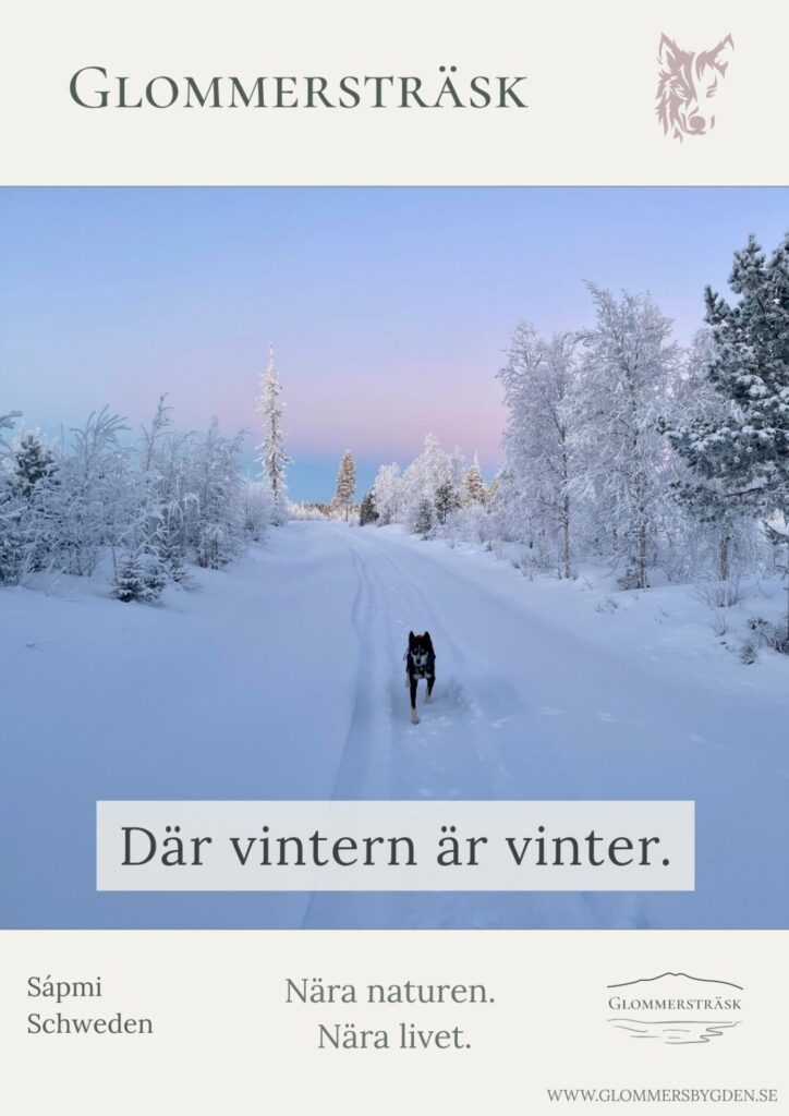 Glommersträsk Imagekampagne Ayla