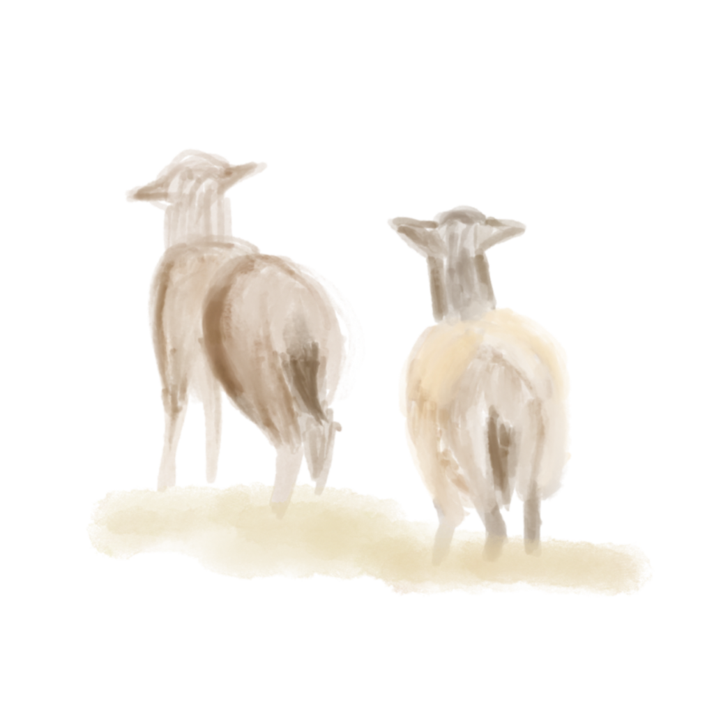 Bin ich die Herrin meiner Hunde? 2 Bin ich die Herrin meiner Hunde? | Herr